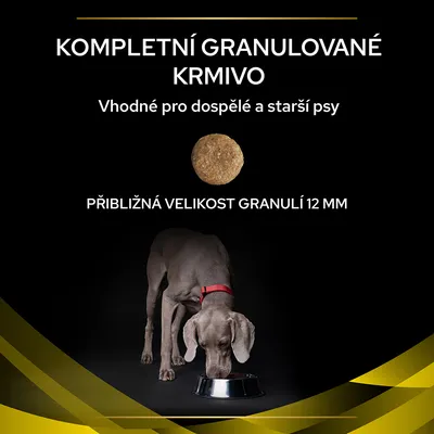 Kompletní granulované krmivo, vhodné pro dospělé a starší psy. Přibližná velikost granulí 12 mm. Pes u misky.