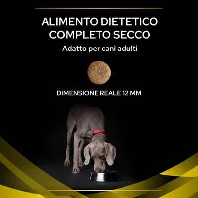 Alimento dietetico completo secco, adatto per cani adulti. Dimensione reale della crocchetta: 12 mm. Cane adulto grigio con collare rosso che mangia da una ciotola.