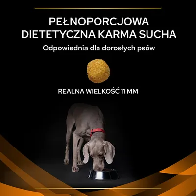 Pełnoporcjowa dietetyczna karma sucha, odpowiednia dla dorosłych psów. Realna wielkość granulki 11 mm. Pies jedzący z metalowej miski.
