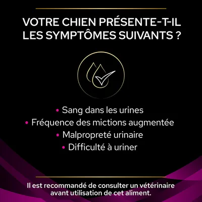 Votre chien présente-t-il les symptômes suivants ? Sang dans les urines, fréquence des mictions augmentée, malpropreté urinaire, difficulté à uriner. Consultez un vétérinaire avant usage.