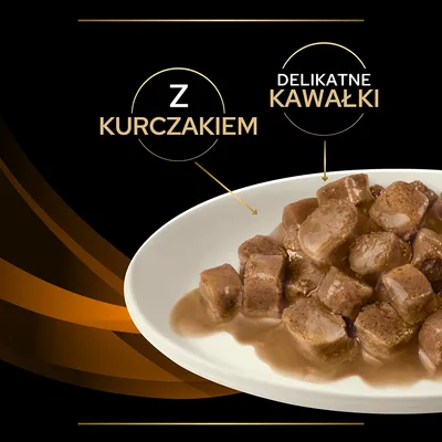 Mokra karma w sosie na talerzu, widoczny napis: Z kurczakiem, delikatne kawałki.