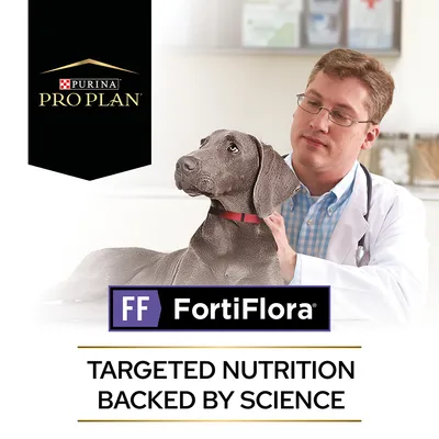Purina Pro Plan, FortiFlora. Tekst: TARGETED NUTRITION BACKED BY SCIENCE. Pas i osoba u bijeloj kuti s plavom košuljom vidljivi u pozadini.