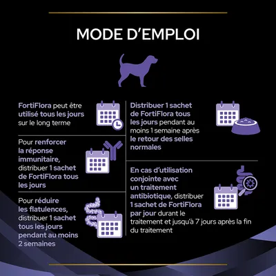 Mode d’emploi FortiFlora : 1 sachet par jour pour usage long terme, renforcer l’immunité, réduire flatulences (2 semaines), après selles normales (1 semaine), ou avec antibiotique (7 jours après).