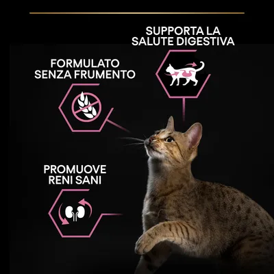 Testi visibili: 'Formulato senza frumento', 'Supporta la salute digestiva', 'Promuove reni sani'. Gatto marrone in primo piano, icone illustrative accanto ai testi.