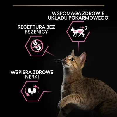 Receptura bez pszenicy, wspomaga zdrowie układu pokarmowego, wspiera zdrowe nerki – tekst i ikony obok kota na czarnym tle.