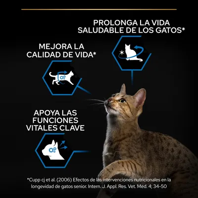 Prolonga la vida saludable de los gatos, mejora la calidad de vida, apoya las funciones vitales clave. Referencia: Cupp cj et al. (2006) sobre longevidad de gatos senior.