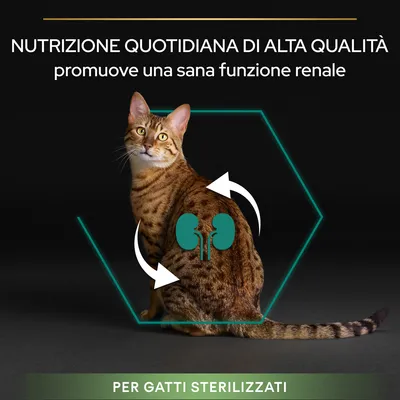 Nutrizione quotidiana di alta qualità promuove una sana funzione renale. Per gatti sterilizzati.