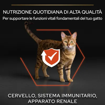 Nutrizione quotidiana di alta qualità per supportare le funzioni vitali fondamentali del gatto: cervello, sistema immunitario, apparato renale. Immagine con gatto e scudo con segno di spunta.
