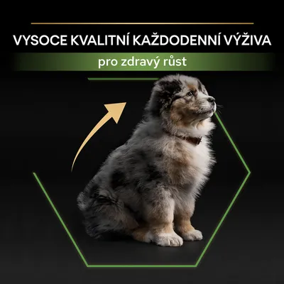 Text: VYSOCE KVALITNÍ KAŽDODENNÍ VÝŽIVA, pro zdravý růst. Štěně sedící v zeleném šestiúhelníku s šipkou směřující vzhůru.