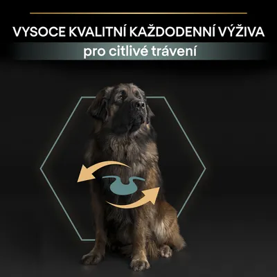 VYSOCE KVALITNÍ KAŽDODENNÍ VÝŽIVA pro citlivé trávení, velký pes, grafika žaludku a šipek znázorňující trávení