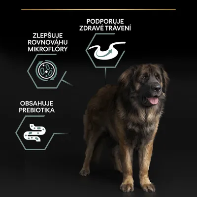 Podporuje zdravé trávenie, zlepšuje rovnováhu mikroflóry, obsahuje prebiotiká – text a grafické prvky pri psovi na čiernom pozadí. Text v češtine.