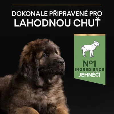 Text v češtine: Dokonale připravené pro lahodnou chuť. Nº1 ingredience jehněčí.