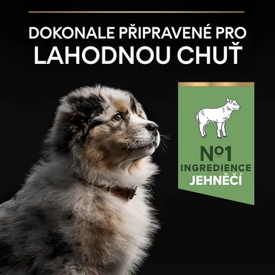 Text: Dokonale připravené pro lahodnou chuť. N°1 ingredience jehněčí. Ilustrace psa a ovce.