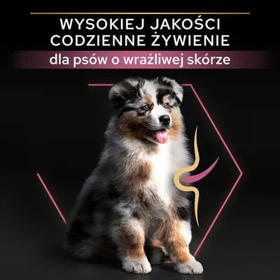 Wysokiej jakości codzienne żywienie dla psów o wrażliwej skórze – tekst na grafice z psem. Tekst w języku polskim.