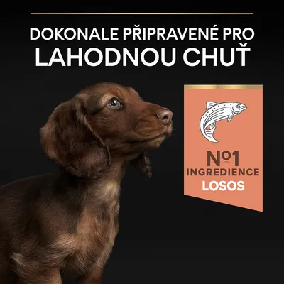Text: Dokonale připravené pro lahodnou chuť. N°1 ingredience losos. Ilustrace psa a ryby.