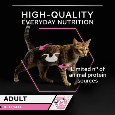 Text: HIGH-QUALITY EVERYDAY NUTRITION, Limited n° of animal protein sources, ADULT DELICATE. Bild på katt med grafiska pilar och ikon för känslig matsmältning.