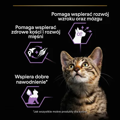 Pomaga wspierać rozwój wzroku oraz mózgu, pomaga wspierać zdrowe kości i rozwój mięśni, wspiera dobre nawodnienie. Tekst: *Jak wszystkie mokre produkty dla kotów. Pomaga wspierać rozwój wzroku oraz mózgu, pomaga wspierać zdrowe kości i rozwój mięśni, wspiera dobre nawodnienie. Tekst: *Jak wszystkie mokre produkty dla kotów.