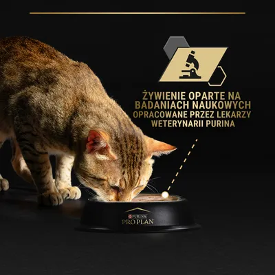 Purina Pro Plan. Żywienie oparte na badaniach naukowych opracowane przez lekarzy weterynarii Purina. Kot jedzący z miski z logo Purina Pro Plan.