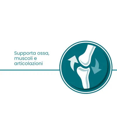 Supporta ossa, muscoli e articolazioni