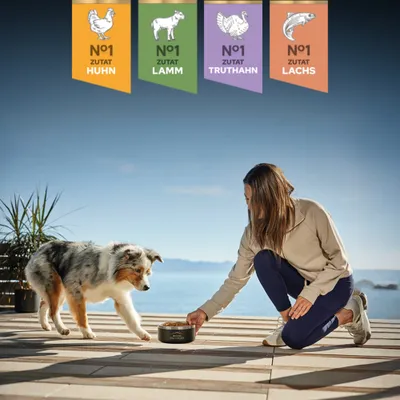 Frau stellt Napf mit Futter vor Hund. Oben Banner: Nr. 1 Zutat Huhn, Lamm, Truthahn, Lachs. Frau stellt Napf mit Futter vor Hund. Oben Banner: Nr. 1 Zutat Huhn, Lamm, Truthahn, Lachs.