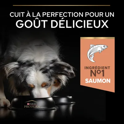 Purina Pro Plan Gamelle, ingrédient principal n° 1 : saumon, cuit pour une saveur délicieuse. Purina Pro Plan Gamelle, ingrédient principal n° 1 : saumon, cuit pour une saveur délicieuse.