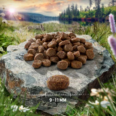 Crocchette per animali su una roccia, con indicazione della dimensione: 9–11 mm.