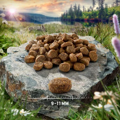 Pile of brown kibble pieces displayed on a rock with one piece shown separately and a scale indicating size range of 9–11mm.