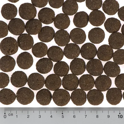 Pyöreitä ruskeita kuivaruokanappuloita, halkaisija noin 1,2 cm. Alareunassa mitta-asteikko 0–10 cm näyttää nappuloiden koon.