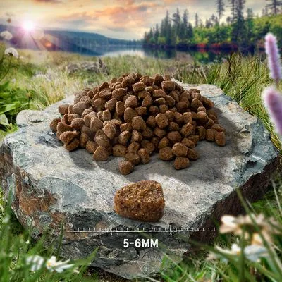 Croquettes marron disposées sur une pierre, avec un morceau en gros plan devant une règle indiquant la taille : 5–6 mm.