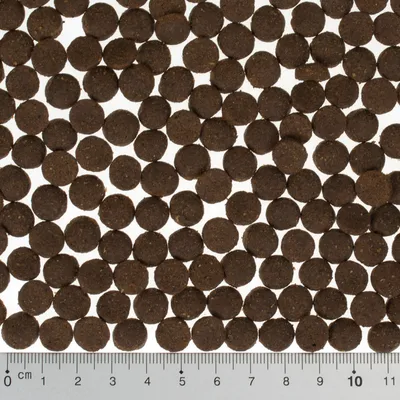Close-up of brown, round dry food pieces with a centimetre scale below for size indication.