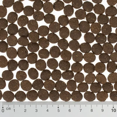 Runde brune tørfoderpiller vist ovenfra med lineal i centimeter under, der viser pille-størrelse på ca. 1 cm hver. Ingen synlig tekst eller mærke.