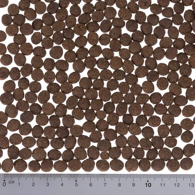 Ruskeita, pyöreitä kuivaruokanappuloita viivaimen vieressä; nappulan halkaisija noin 1 cm. Kokovertailu auttaa valitsemaan sopivan koon lemmikille.