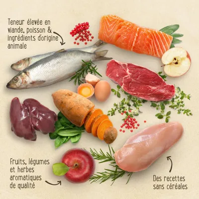 Ingrédients visibles : poisson entier, filet de saumon, steak, foie, œuf, patate douce, pomme, herbes. Textes : Teneur élevée en viande, poisson & ingrédients d'origine animale, fruits, légumes et herbes aromatiques de qualité, des recettes sans céréales.