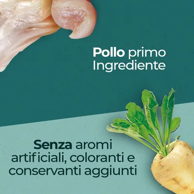 Pollo primo ingrediente. Senza aromi artificiali, coloranti e conservanti aggiunti.