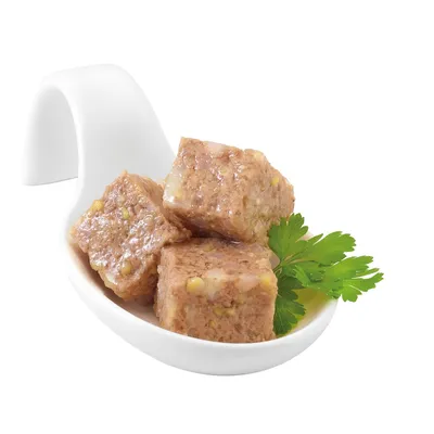 Drie blokjes natvoer op een witte lepel, met een takje peterselie ernaast. Textuur en ingrediënten zichtbaar in de blokjes.