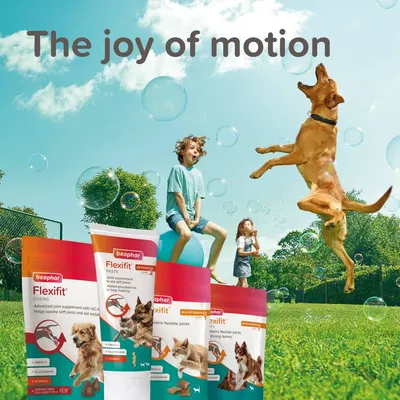 Beaphar Flexifit joint supplements shown with a dog jumping and children playing outdoors, highlighting the product’s support for flexible joints. Text reads: The joy of motion.