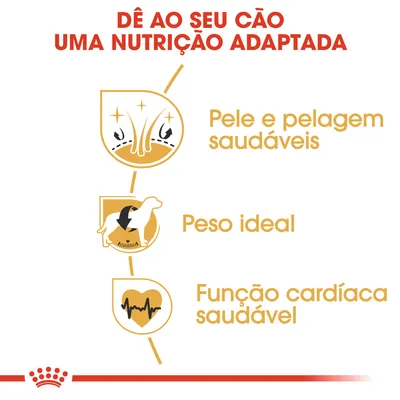 Dê ao seu cão uma nutrição adaptada: pele e pelagem saudáveis, peso ideal, função cardíaca saudável.