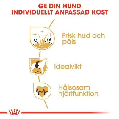 Ge din hund individuellt anpassad kost. Frisk hud och päls, idealvikt, hälsosam hjärtfunktion.