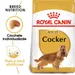 Royal Canin Cocker Adult