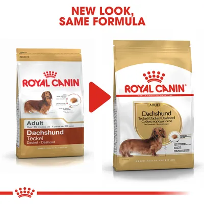 ROYAL CANIN Adult Dachshund dog food packaging, old and new designs side by side. Text above: NEW LOOK, SAME FORMULA. Both packs show a Dachshund image and product details.