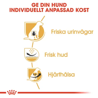 Ge din hund individuellt anpassad kost. Friska urinvägar, frisk hud, hjärthälsa.