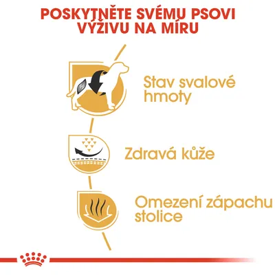 Text: Poskytněte svému psovi výživu na míru. Stav svalové hmoty, zdravá kůže, omezení zápachu stolice. Tři ikony znázorňující benefity.