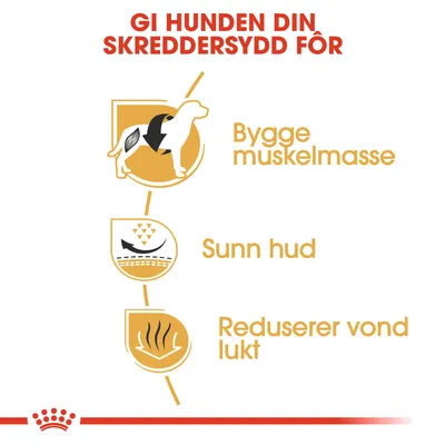 Royal Canin French Bulldog  Adult