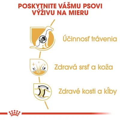 Poskytnite vášmu psovi výživu na mieru. Účinnosť trávenia, zdravá srsť a koža, zdravé kosti a kĺby.