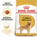 Royal Canin Golden Retriever Adult
