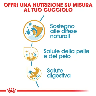 Offri una nutrizione su misura al tuo cucciolo: sostegno alle difese naturali, salute della pelle e del pelo, salute digestiva.