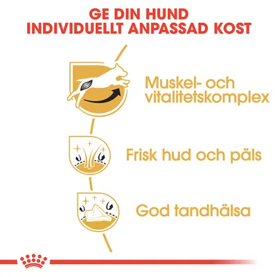 Ge din hund individuellt anpassad kost. Muskel- och vitalitetskomplex, frisk hud och päls, god tandhälsa.