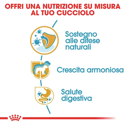Offri una nutrizione su misura al tuo cucciolo. Sostegno alle difese naturali, crescita armoniosa, salute digestiva.