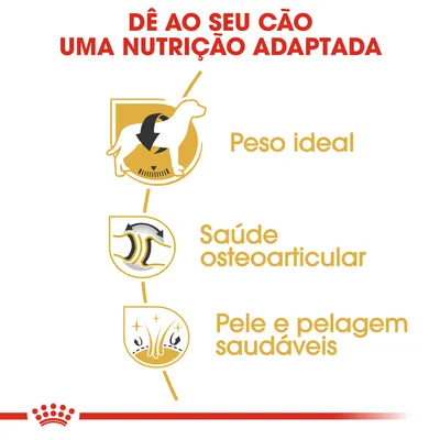 Dê ao seu cão uma nutrição adaptada: peso ideal, saúde osteoarticular, pele e pelagem saudáveis. Texto e ícones ilustrativos em amarelo e preto.