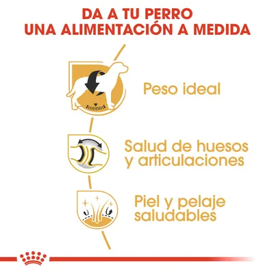 Da a tu perro una alimentación a medida. Peso ideal. Salud de huesos y articulaciones. Piel y pelaje saludables.